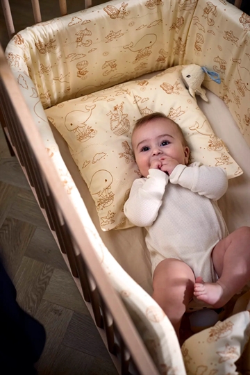 Filibabba Sengerand - Dreamy Adventurers