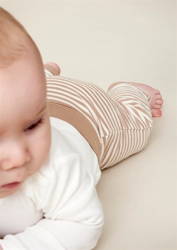 Fixoni Bukser Stucco Striber Præmatur