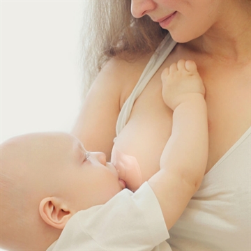 Haakaa Ammebrikker - 2 stk.