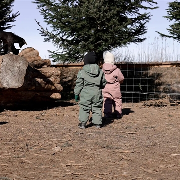 Mikk-line Flyverdragt - Thyme i grøn