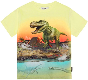 Molo T-shirt Riley Volcano Dino
